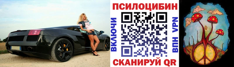 Псилоцибиновые грибы Psilocybe  Владивосток 